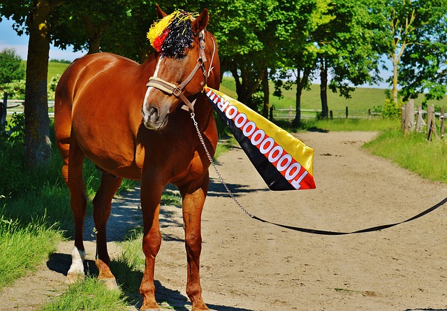 多家西媒：德容缺席本轮联赛的原因为家庭私人事务