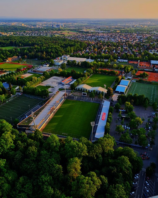 上海新援加盟引发关注